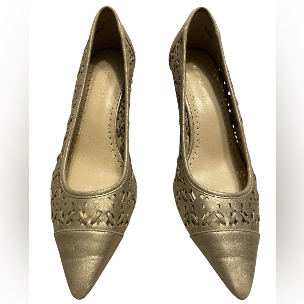 Adrienne Vittadini Soft Leather Gold Tone Pointed Toe Heels